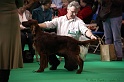 Crufts2011 259
